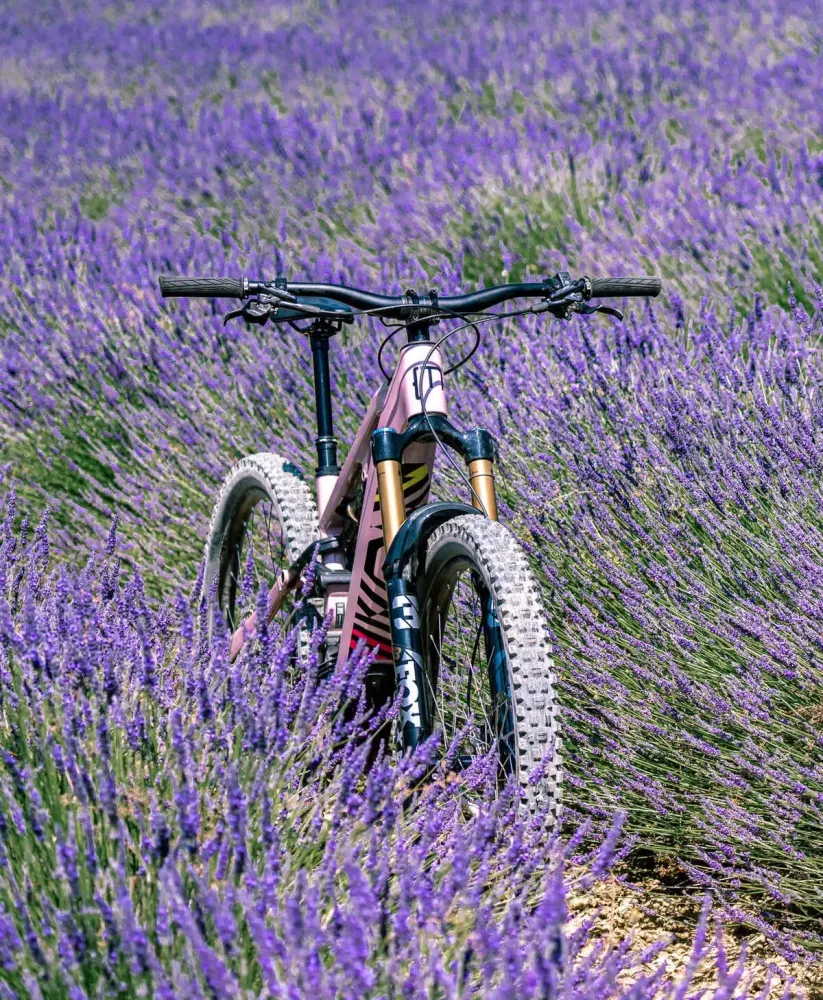 lection EBIKE of the year 2025 (1)